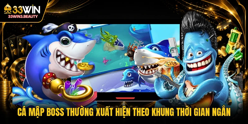 Cá mập boss thường xuất hiện theo khung thời gian ngắn