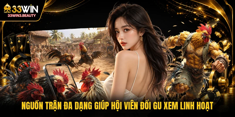 Nguồn trận đa dạng giúp hội viên đổi gu xem linh hoạt