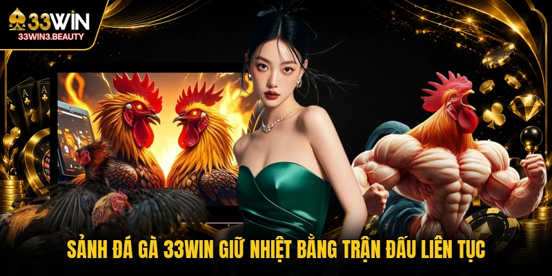 Sảnh đá gà 33WIN giữ nhiệt bằng trận đấu liên tục